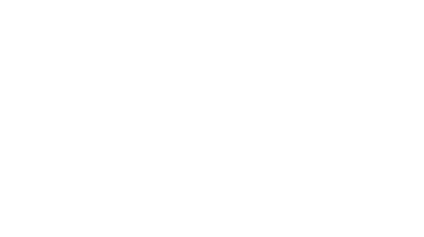 Synapsis Beyin Akademisi · Koçluk