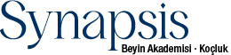 Synapsis Beyin Akademisi · Koçluk